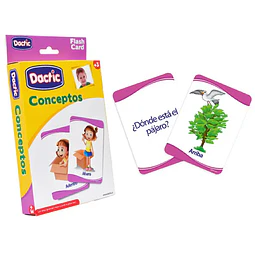 Set Laminas Conceptos 17 X 12 Cms  Dactic