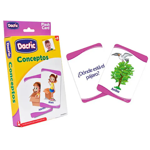 Set Laminas Conceptos 17 X 12 Cms  Dactic