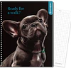 Cuaderno Universitario 100Hjs 7Mm Rhein Puppies