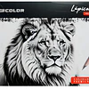 Set Lápiz Grafito Graduados 12Un Skole