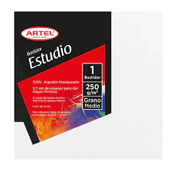 Bastidor 20X20 Estudio Artel