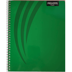 Cuaderno Universitario Croquis 100hjs Proarte
