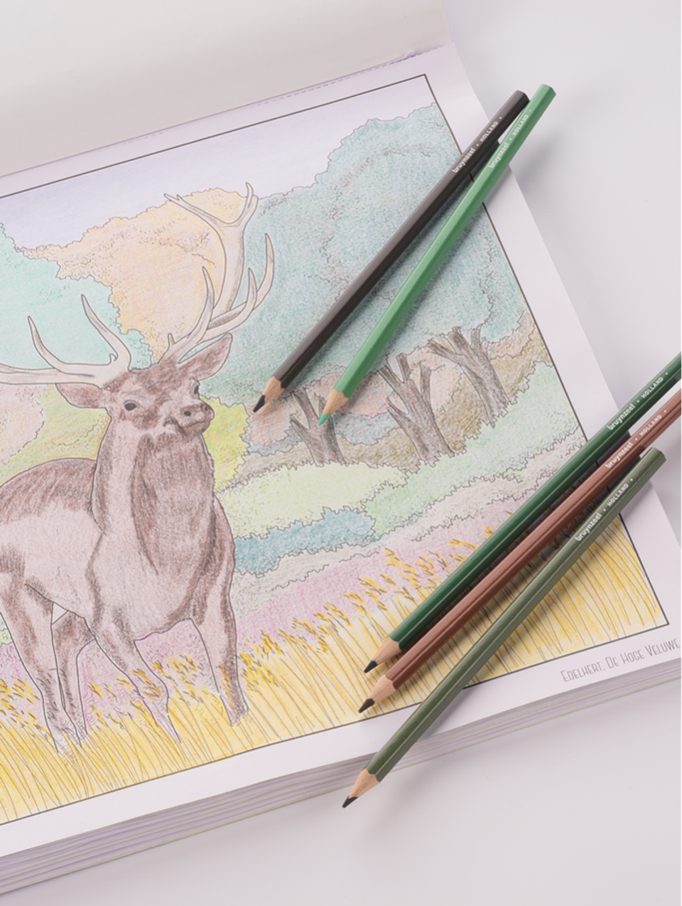 Lápices De Colores Bruynzeel Colouring & Drawing 70 Piezas 3