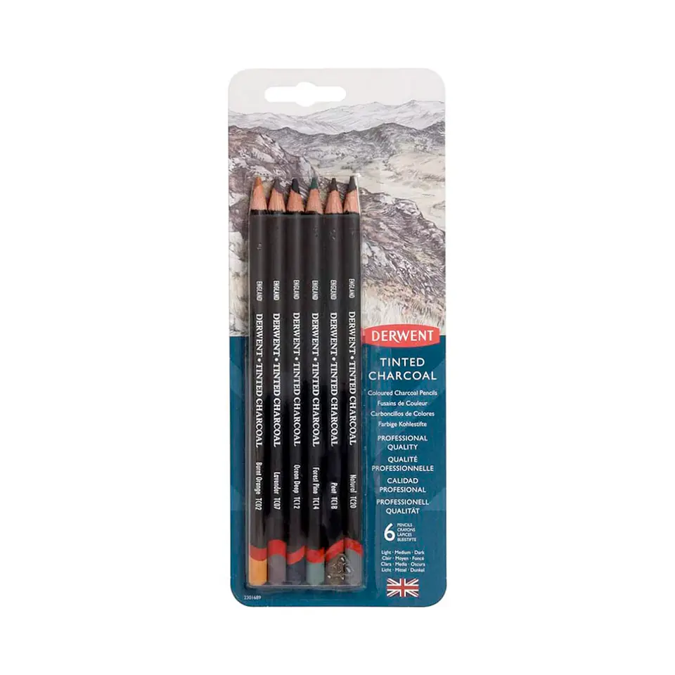 Set 6 Carboncillos de Colores Tinted Charcoal 1