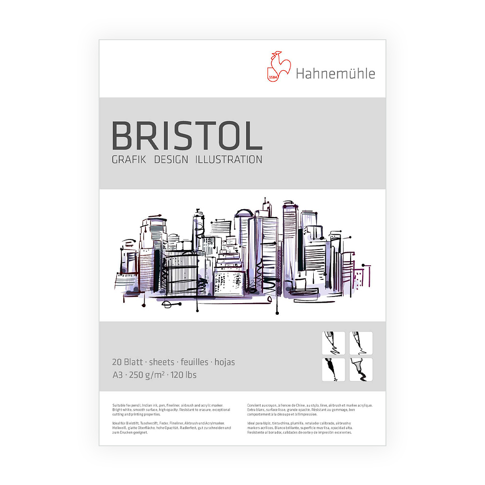Block Dibujo Bristol 250gr 20 Hojas - Hahnemühle 3
