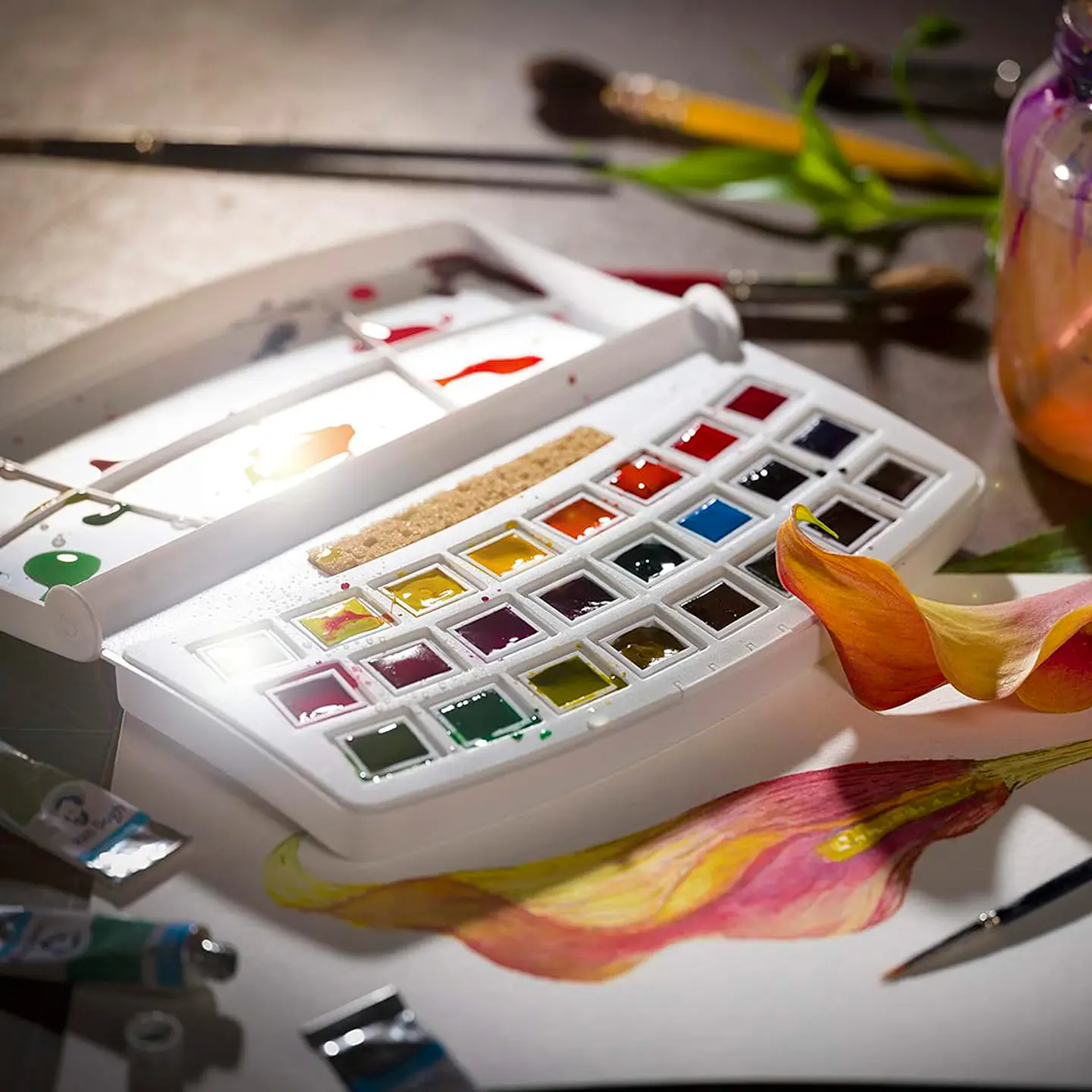  Acuarela en Pastillas Van Gogh Set 24 Colores Botánicos 3