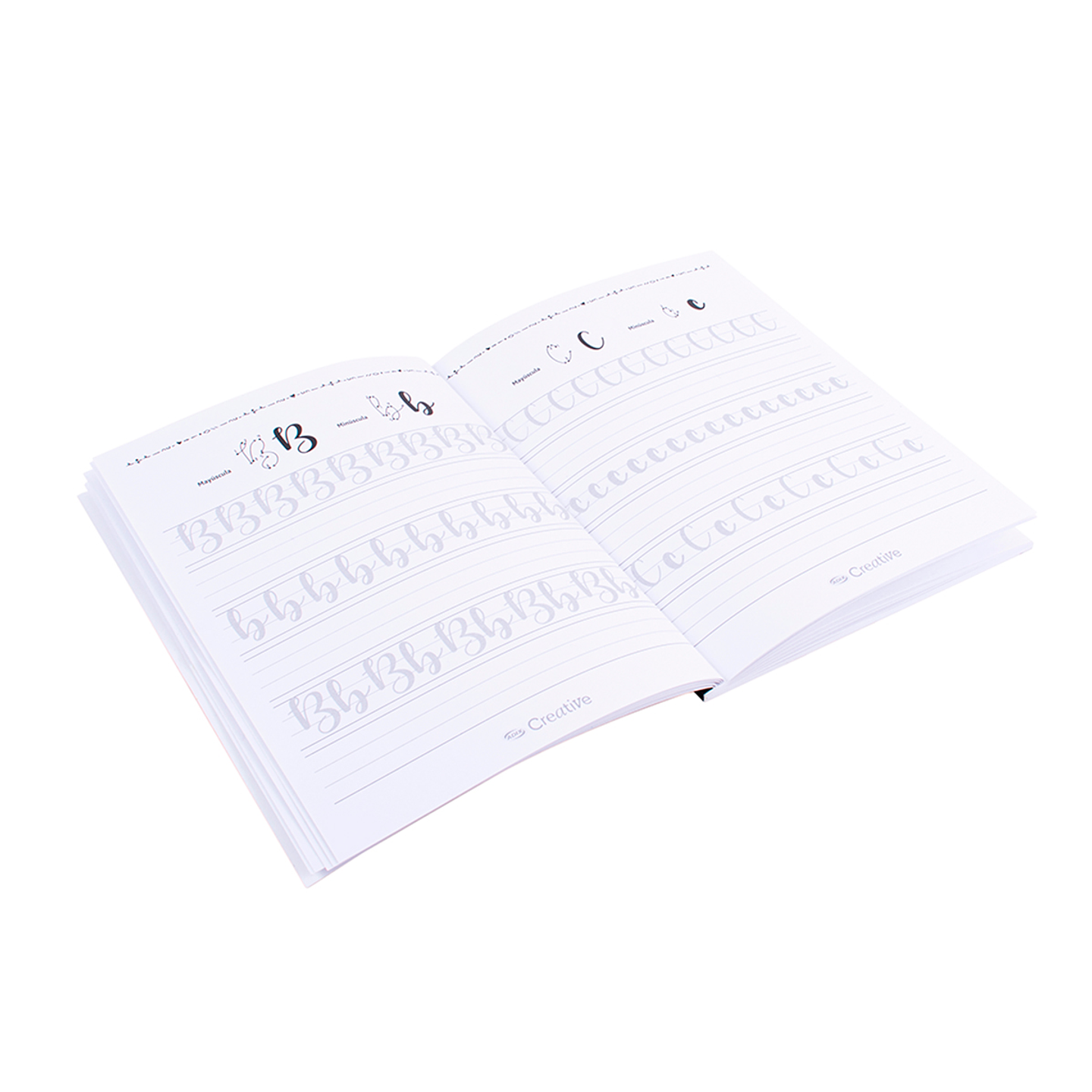 Libro de Caligrafía y Lettering nivel 1 2