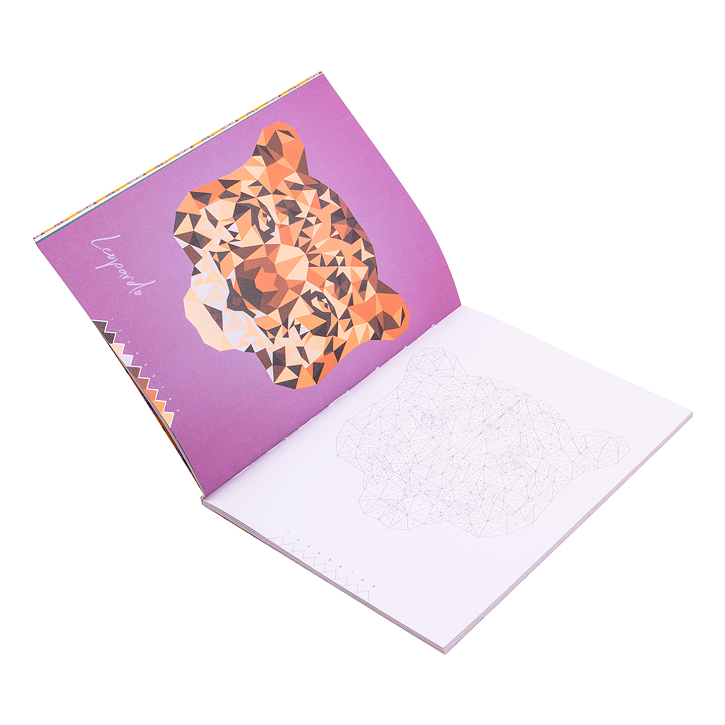 Libro Mosaico de Animales 2