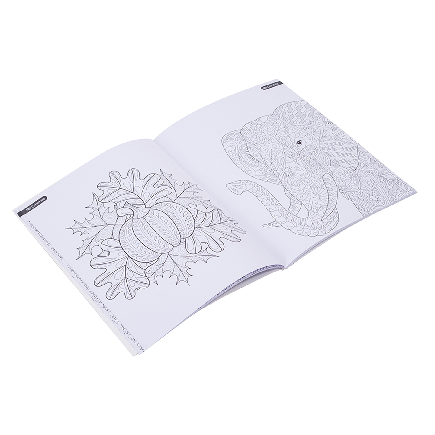 Mandalas Libro para Colorear 2