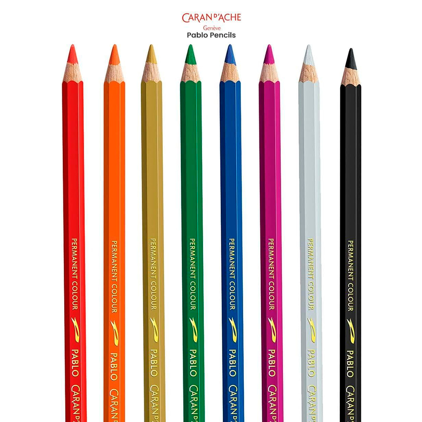 Lápices de Colores Pablo Caran D Ache Set 12 3