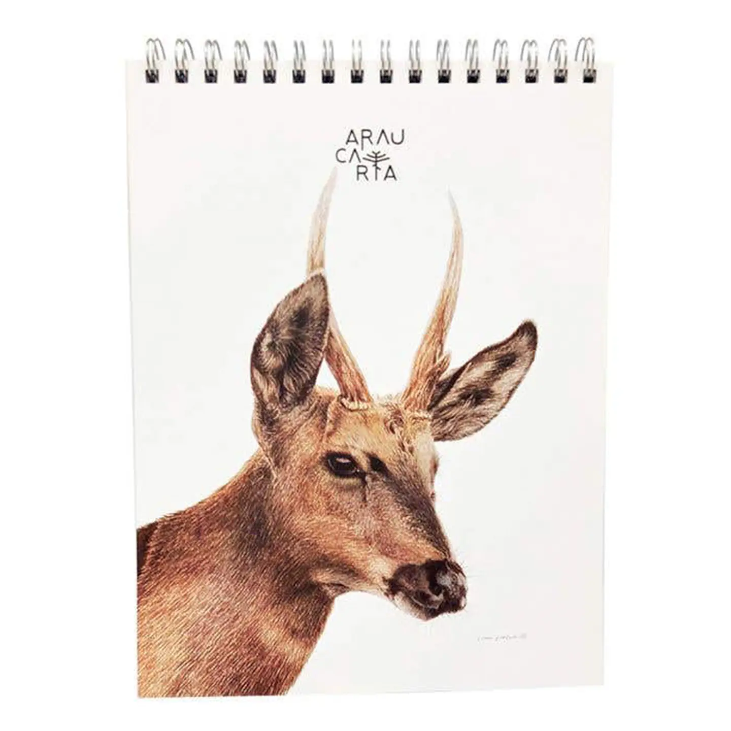 Croquera Carta 21,2x28cm Huemul - Araucaria 1