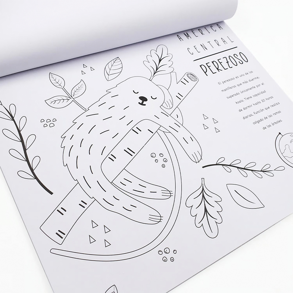 Divertiblock Animales del Mundo - Artel 2