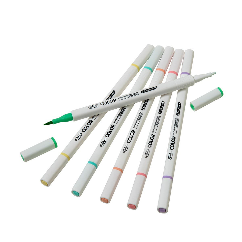 Estuche Marcadores pastel doble punta 6 colores 3