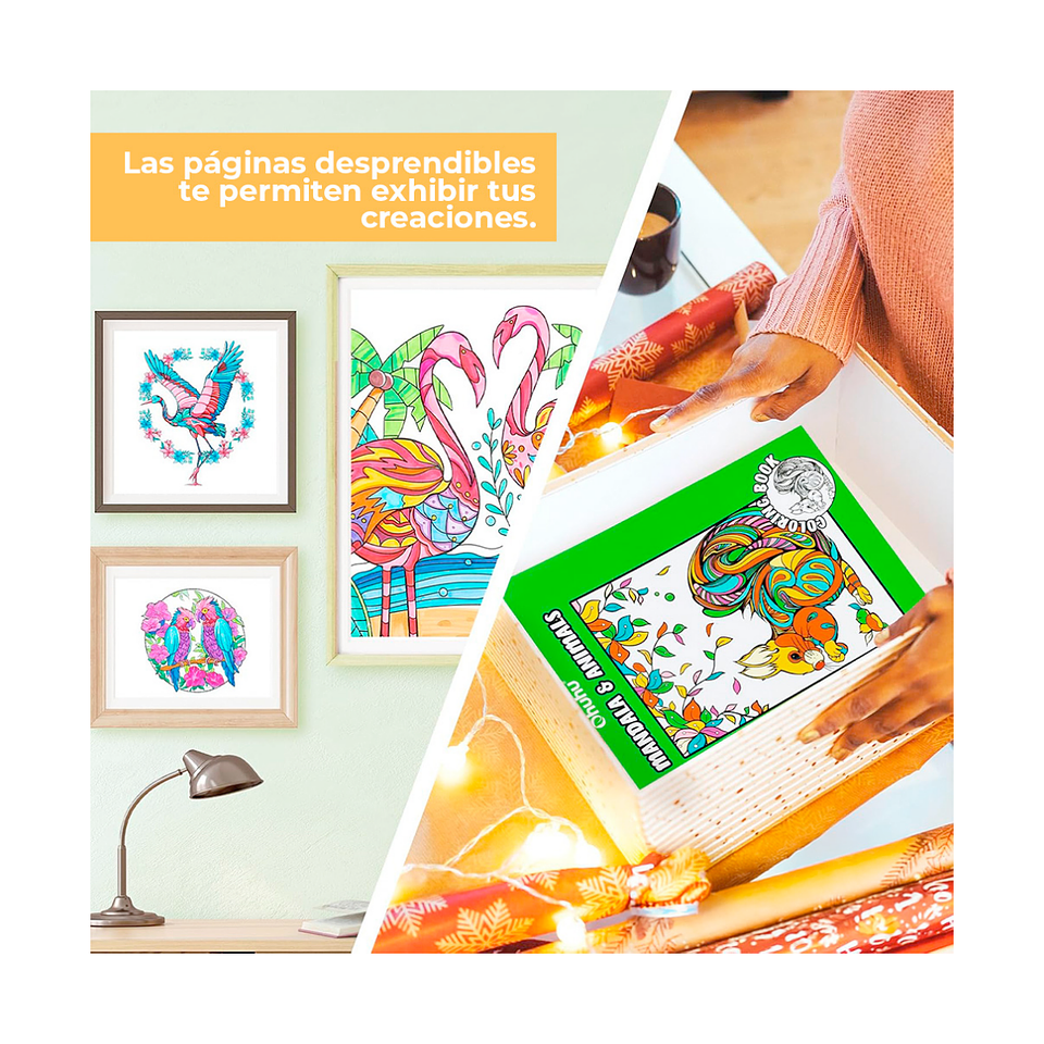 Libro Ohuhu Colorear Mandalas Animales Doble Cara 7