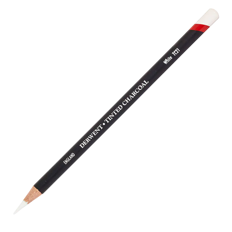 Lápiz Carboncillo con Color Tinted Charcoal - Derwent 22