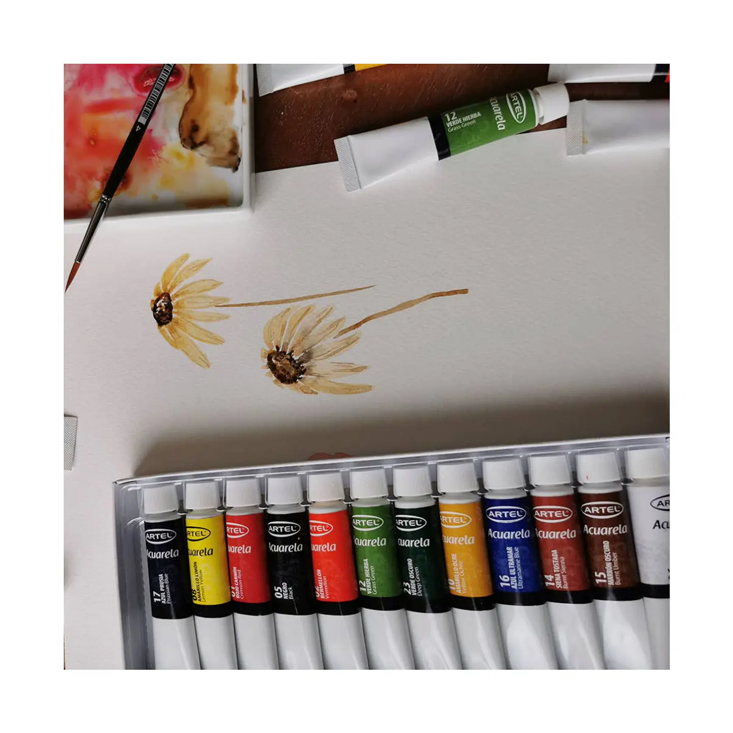 Set de Pintura Acuarela 12 Colores de 12ml 3