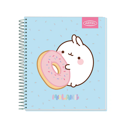 Cuaderno Book Artel 120 Hojas Molang