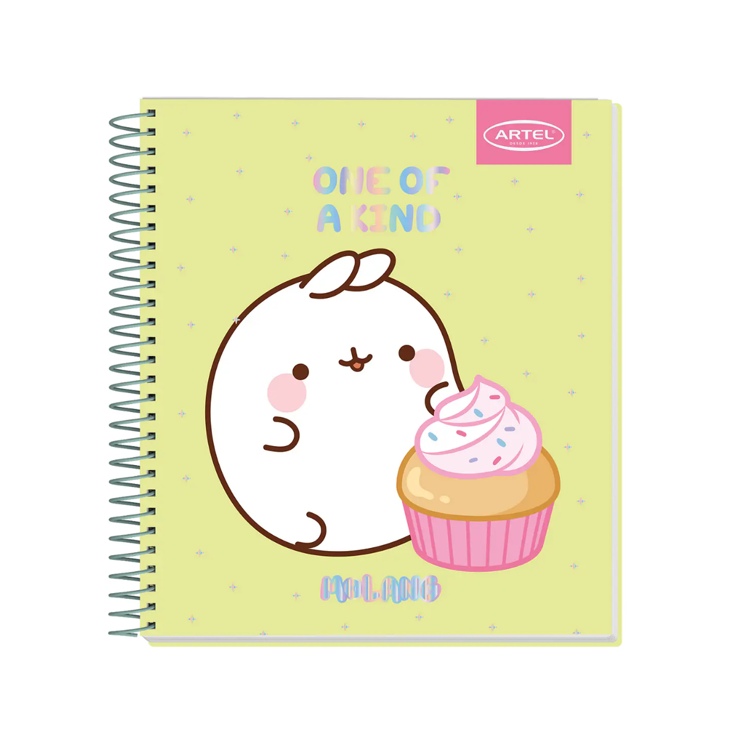 Cuaderno Book Artel 120 Hojas Molang 3