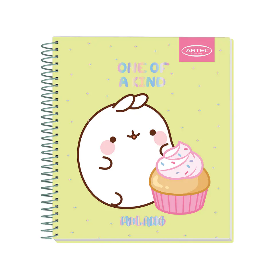 Cuaderno Book Artel 120 Hojas Molang 3