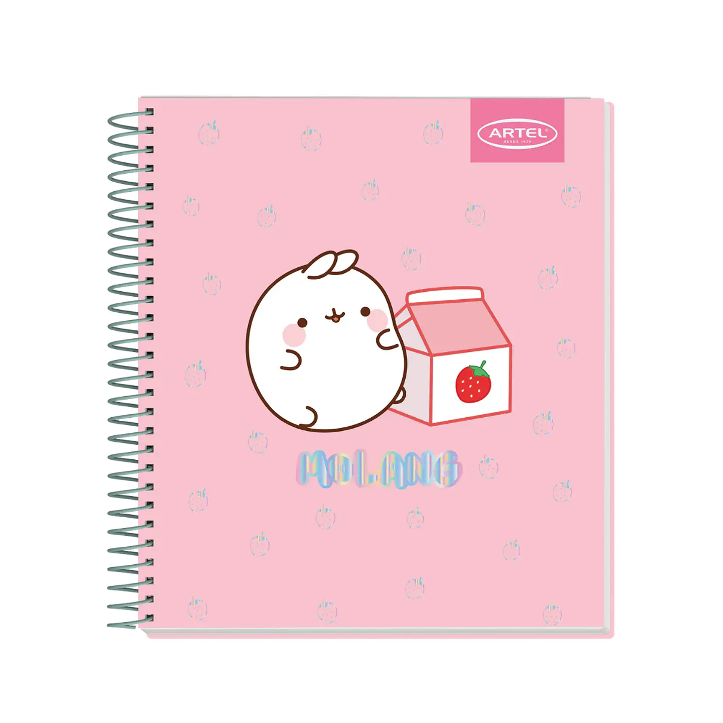 Cuaderno Book Artel 120 Hojas Molang 4