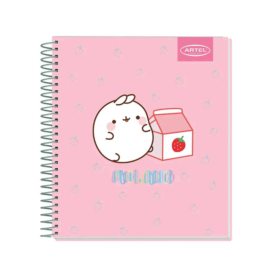 Cuaderno Book Artel 120 Hojas Molang 4