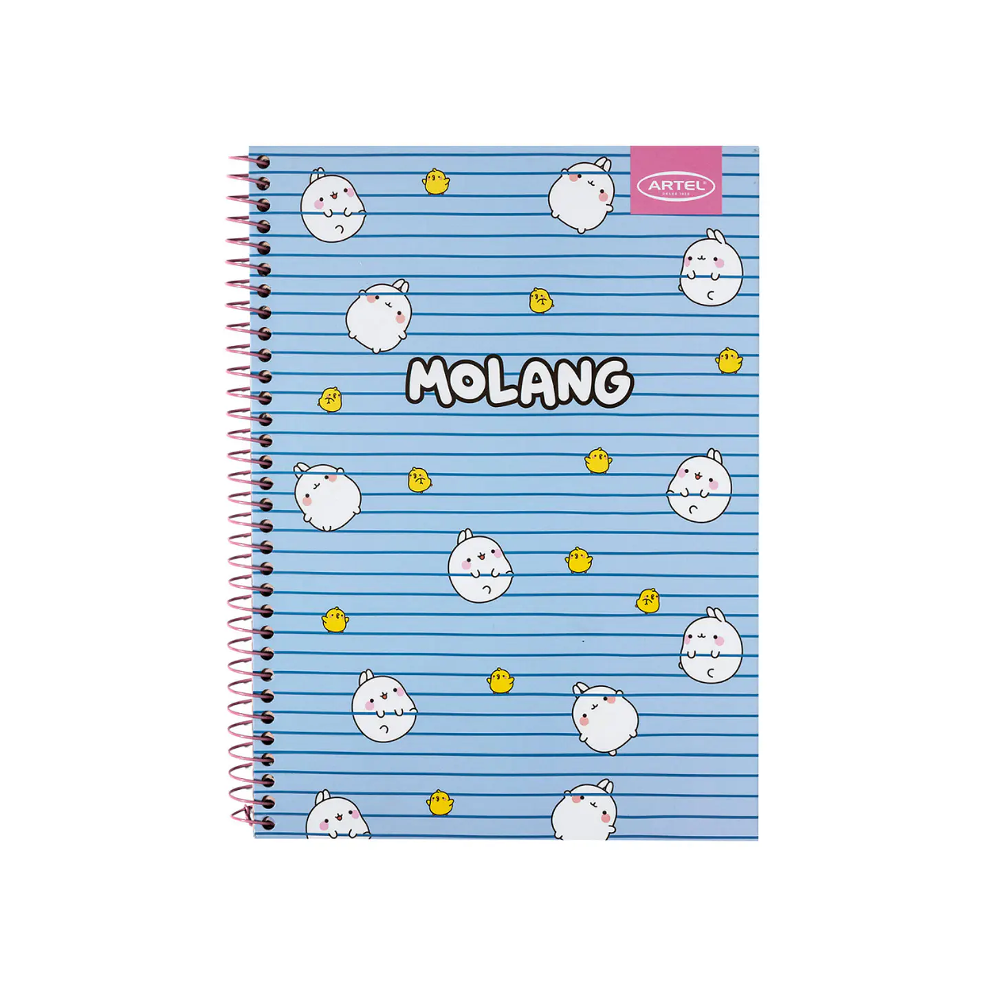 Cuaderno Especial Artel 120 Hojas 7 Mm Molang 1
