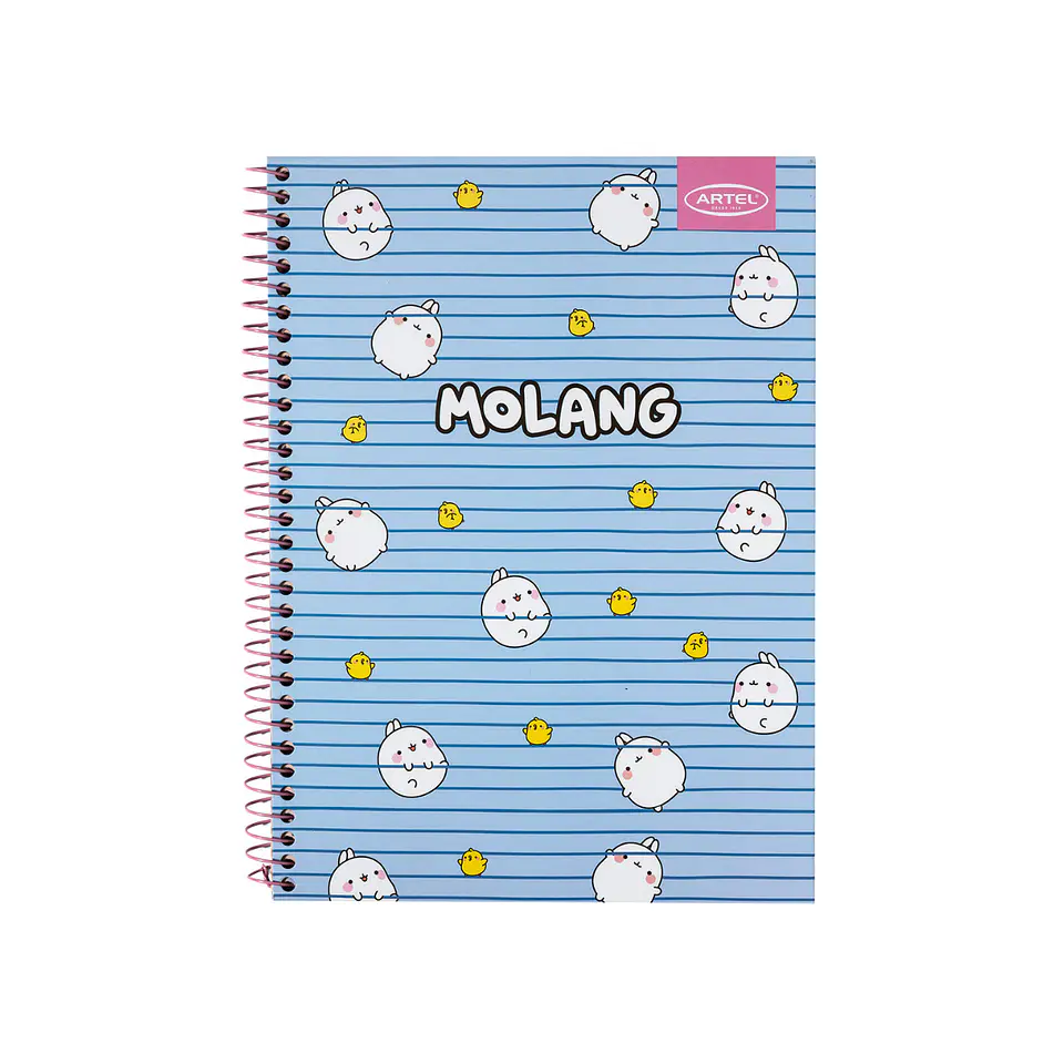 Cuaderno Especial Artel 120 Hojas 7 Mm Molang 1