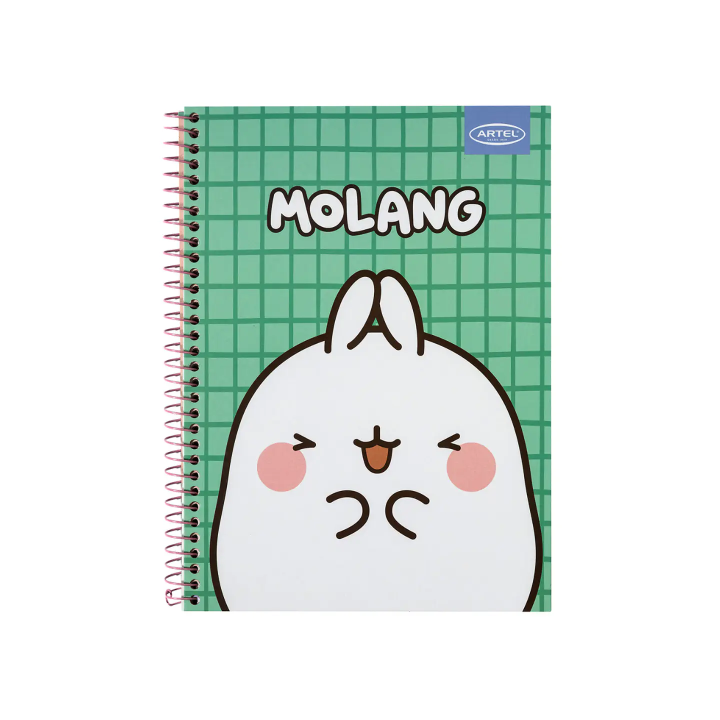 Cuaderno Especial Artel 120 Hojas 7 Mm Molang 3