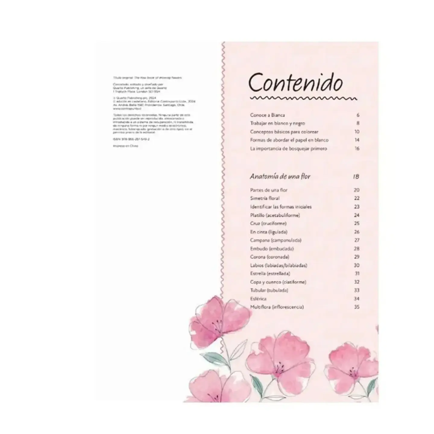 Libro El Arte de Dibujar Flores - Contrapunto 2