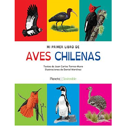 Mi Primer Libro De Aves Chilenas
