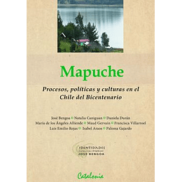 Mapuche, Procesos, Politicas Y Culturas En El Chile Del Bicentenario