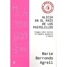 Alicia En El Pais De Los Pastelillos Enigmas Sobre Teorias De Algebra, Geometria Y Logica