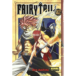 Fairytail 12