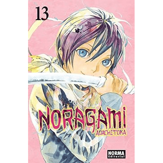 Noragami 13