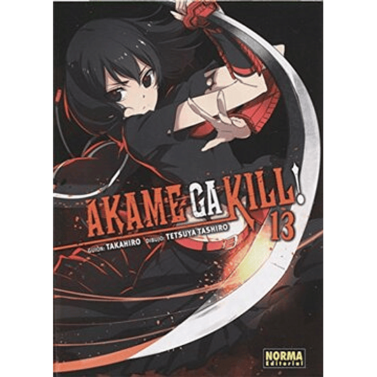 Akame Ga Kill! 13