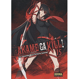 Akame Ga Kill! 15