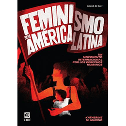 Feminismo Para America Latina