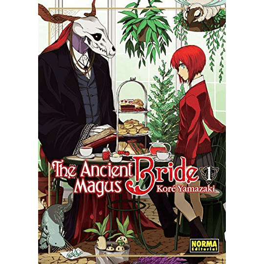 The Ancient Magus Bride 01