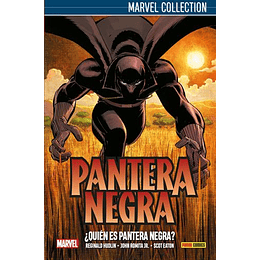 Pantera Negra 01 - Quien Es Pantera Negra
