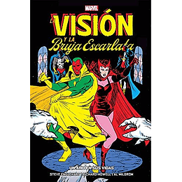 La Vision Y La Bruja Escarlata - Un Año En Sus Vidas