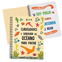 Curiosidades Y Sabiduria Del Oceano Para Pintar