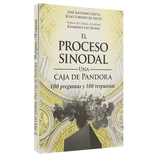 El Proceso Sinodal - Una Caja De Pandora