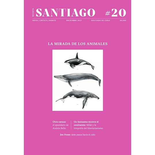 Revista Santiago 20