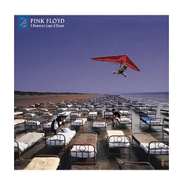 Pink Floyd - A Momentary Lapse Of Reason (2lp)
