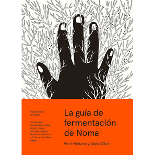 La Guia De Fermentacion De Noma