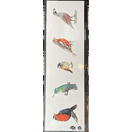 Marcador Aves De Chile