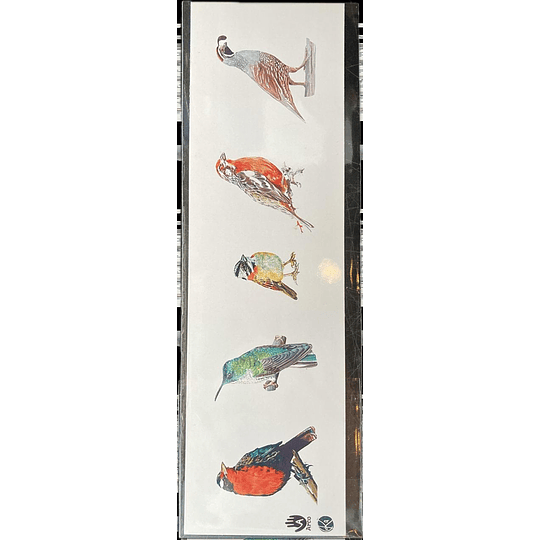 Marcador Aves De Chile