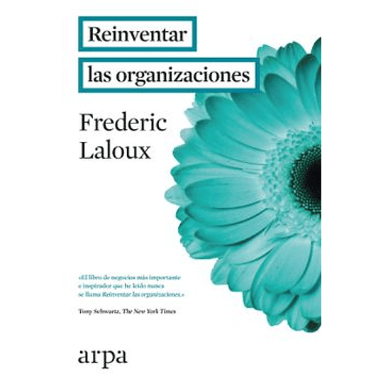 Reinventar Las Organizaciones