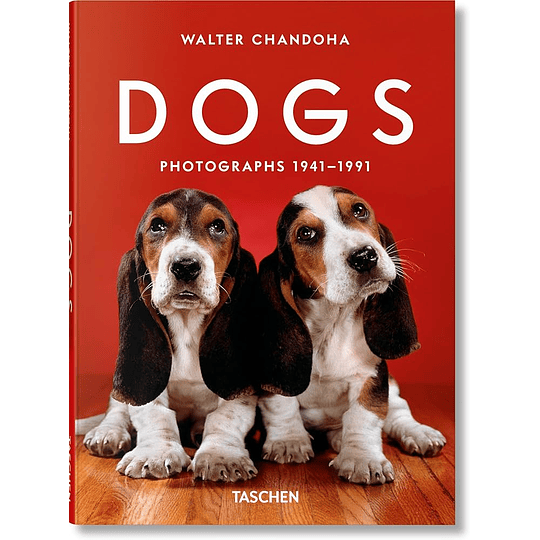 Dogs Photographs 1941 1991