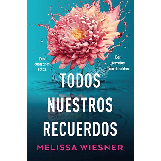 Todos Nuestros Recuerdos